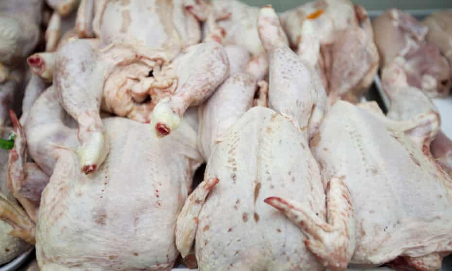Raw chicken in supermarket