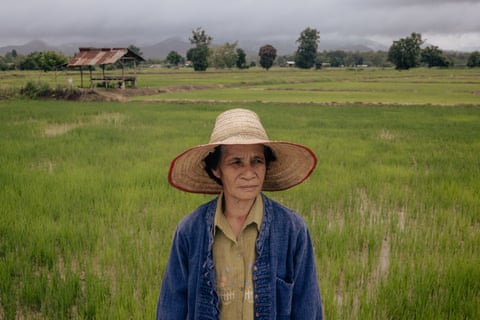 El agricultor de arroz Thongpoon Moonchansong, junto a un arrozal en Uttaradit, al norte de Tailandia.