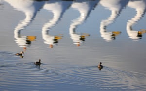 Patinhos nadam perto da Marina de Dubai, Emirados Árabes Unidos. Os visitantes podem pegar um pedalinho em forma de cisne pelo enorme Lago Burj