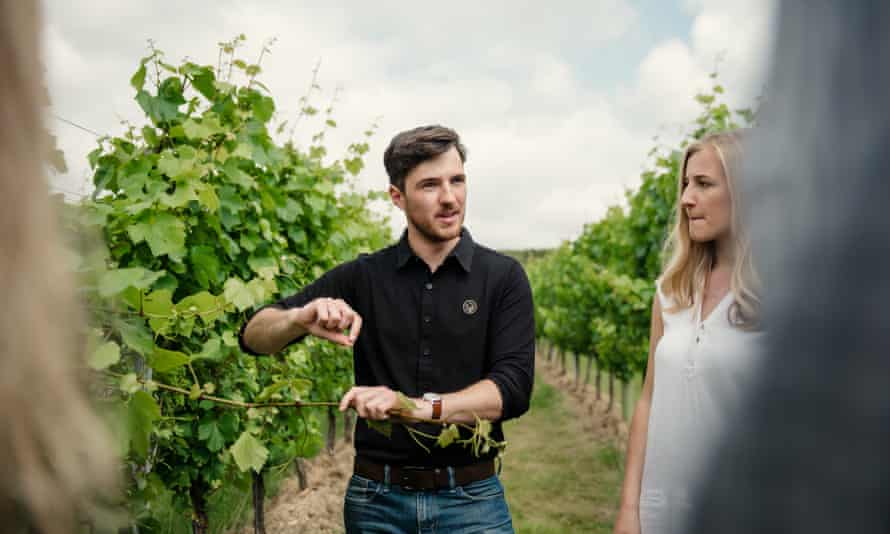 ‘A range of tour-and-taste experiences’: Gusbourne, Kent.