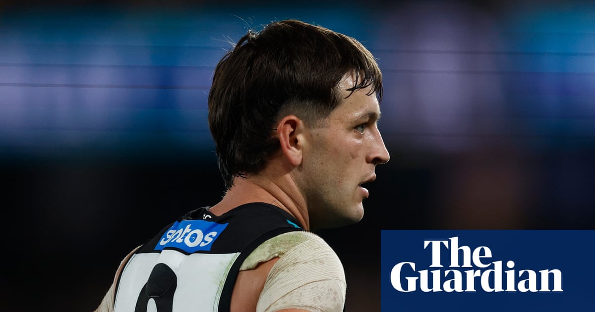 Barking dogs and a real estate agent: how a farcical AFL tribunal could prompt change | Jo Khan