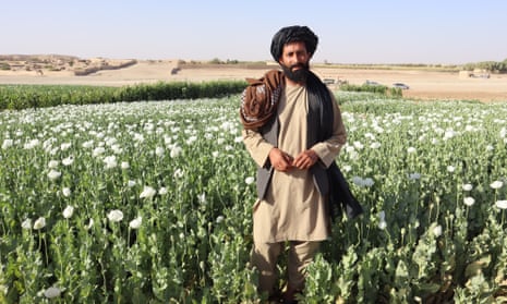 Farmer Mohammed Yaqoob in a poppy field in Musa Qala, Helmand province