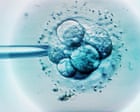 TV tonight: alarming discoveries about IVF treatments in Cyprus