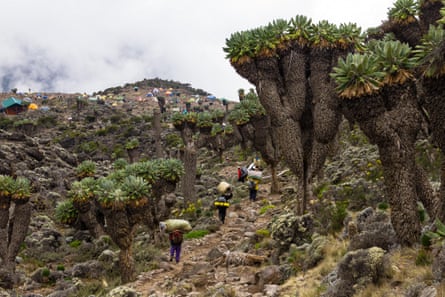 Guides and porters walking up slope of African mountain