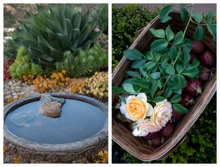 Left: Small rock pools are placed around the garden to help provide small amounts of water for birds and bugs. Right: A basket of passion fruit and fresh-cut roses.