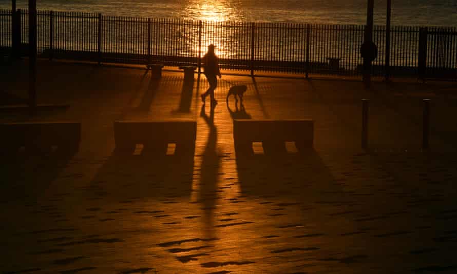 A man walks his dog at dawn at Circular Quay