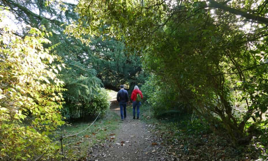 People walking through  woodlands in  Hughenden, Buckinghamshire