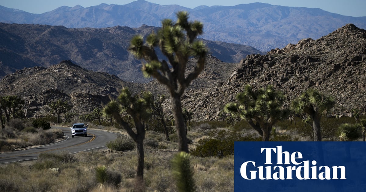 3597.jpg?width=1200&height=630&quality=8