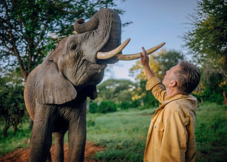Packham, in a light-coloured jacket, placates an elephant.