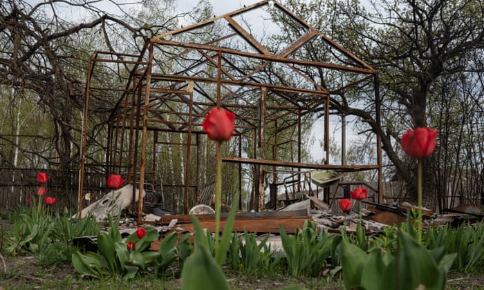 Tulips are seen next to a burnt house in Fenevychi, Ukraine.