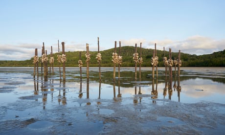 Megan Cope, 'Kinyingarra Guwinyanba oyster sculpture