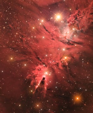Image result for nebula in august sky