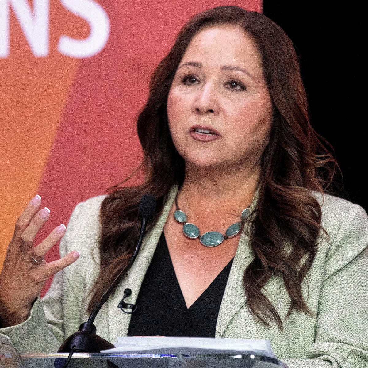 Adelita Grijalva wins Arizona Democratic primary for House seat | Arizona | The Guardian