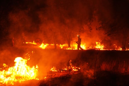A firefighter walks past fires in a forested area at night