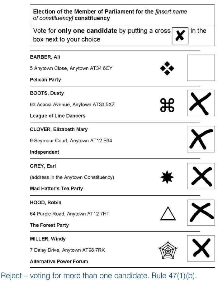 Vote With A Smiley Face Electoral Guide Says X Doesn T Have To Mark The Spot General Election 2015 The Guardian