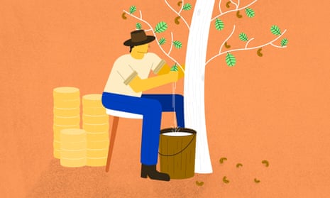 Vegan cheese is one of many dairy alternatives growing in popularity.