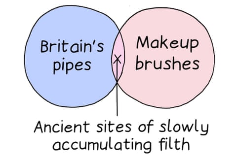 1. Venn diagram with ‘Britain’s pipes’ in one circle and ‘Makeup brushes’ in the other, with ‘Ancient sites of slowly accumulating filth’ underneath. 2. Venn diagram with ‘Nikki Haley’ in one circle and ‘Cleaning porridge off a pan’ in the other, with ‘Really clung on’ underneath. 3. Venn diagram with ‘The press reporting on Kate Middleton’s whereabouts’ in one circle and ‘Small child petting an animal’ in the other, with ‘Supposedly done with interest and affection but looks more like relentless harassment’ underneath, panel 1