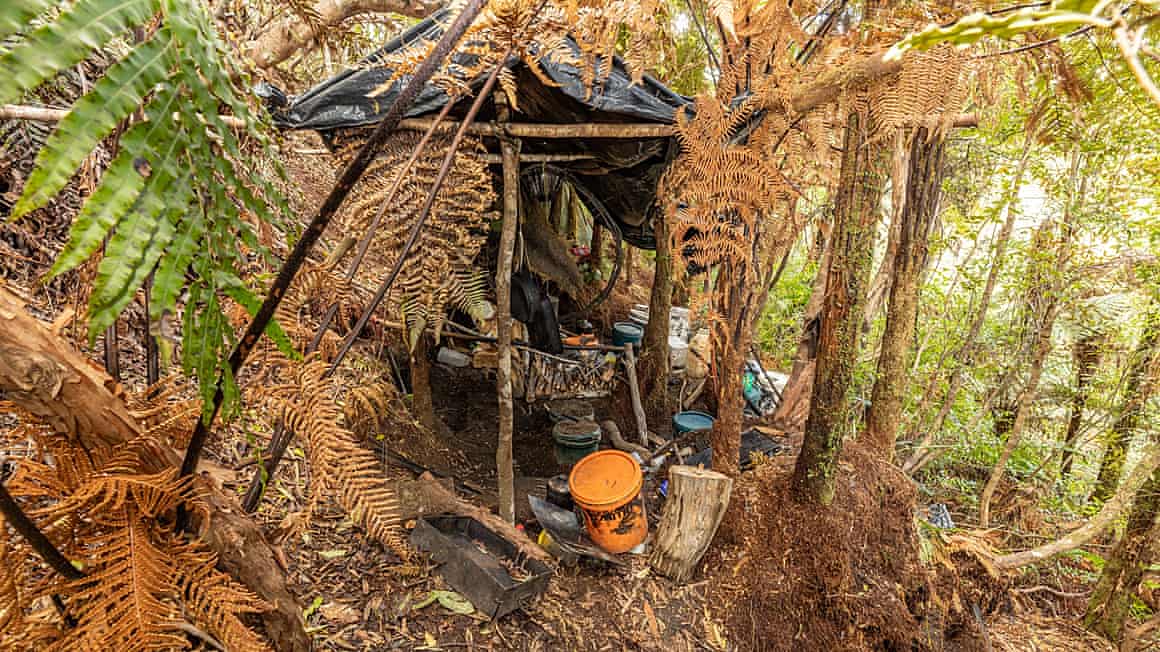A woodland shelter