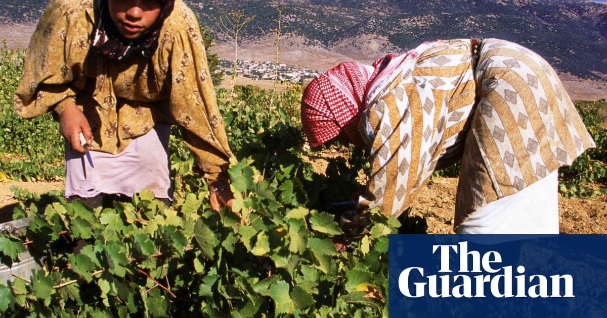 The quality of Lebanese wine is absolutely incredible'
