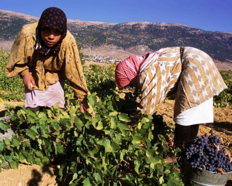 ‘The quality of Lebanese wine is absolutely incredible’