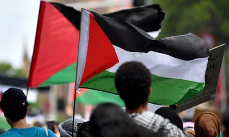 Protesters hold a Palestinian flag during a pro-Palestine demonstration in Sydney