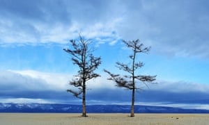 Two trees struck on Olkhon Island, Russia