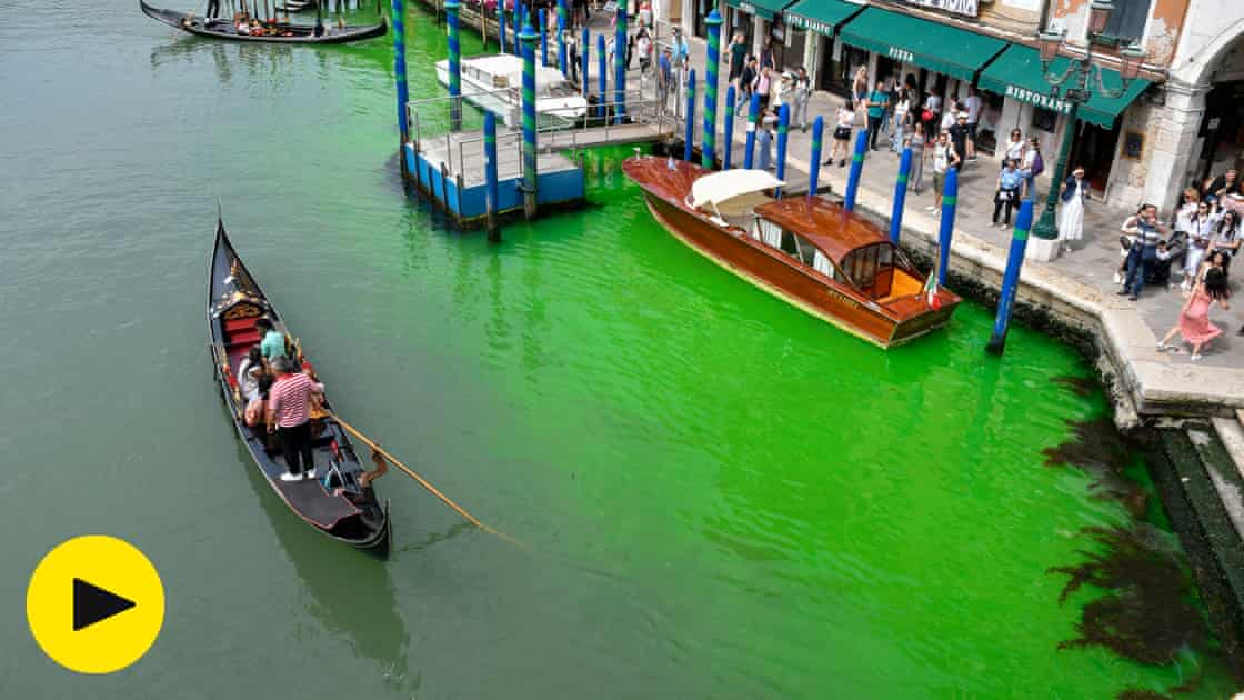 Water in Venice's Grand Canal turns bright green – video