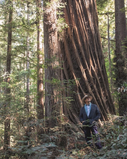 Monty Don among the redwoods in SanJose, California.