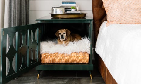 Custom showers and designer crates: welcome to the 'barkitecture