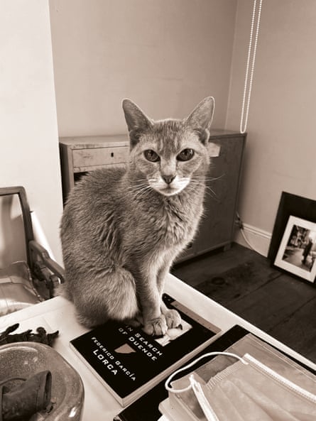 Cairo the cat sitting on a copy of In Search of Duende by Federico García Lorca