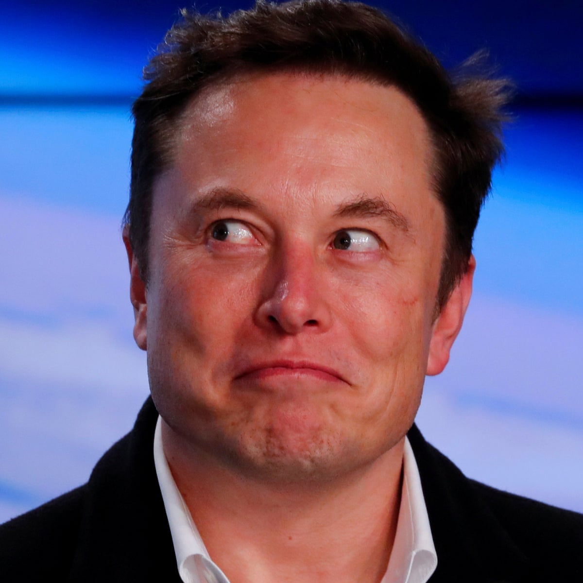 Elon Musk Hires Man Behind Absolute Unit Sheep Meme To Run Tesla S Social Media Tesla The Guardian