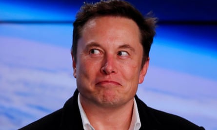 Elon Musk Hires Man Behind Absolute Unit Sheep Meme To Run Tesla S Social Media Tesla The Guardian