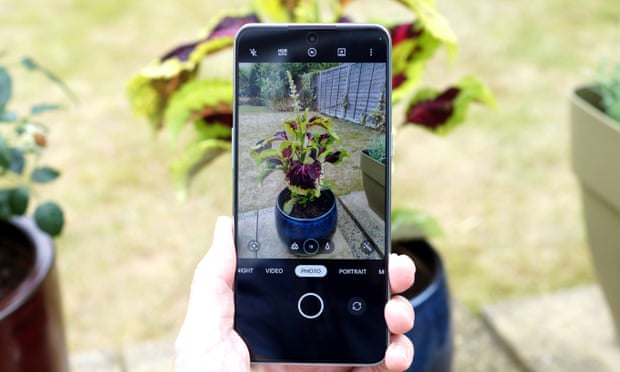 A photo being taken on the OnePlus 10T of a potted plant.