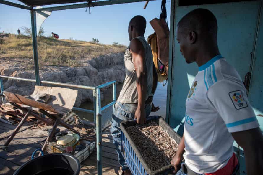 Two men carry a crate of small fish off the boat