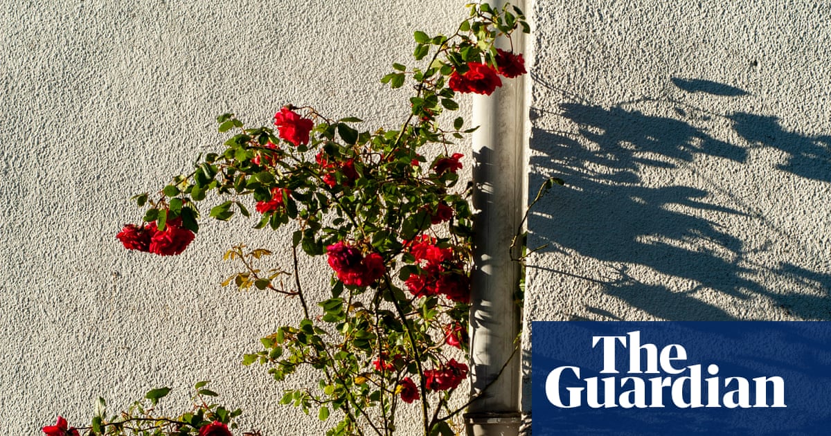 I'm bringing the Japanese art of shadow and light into my garden