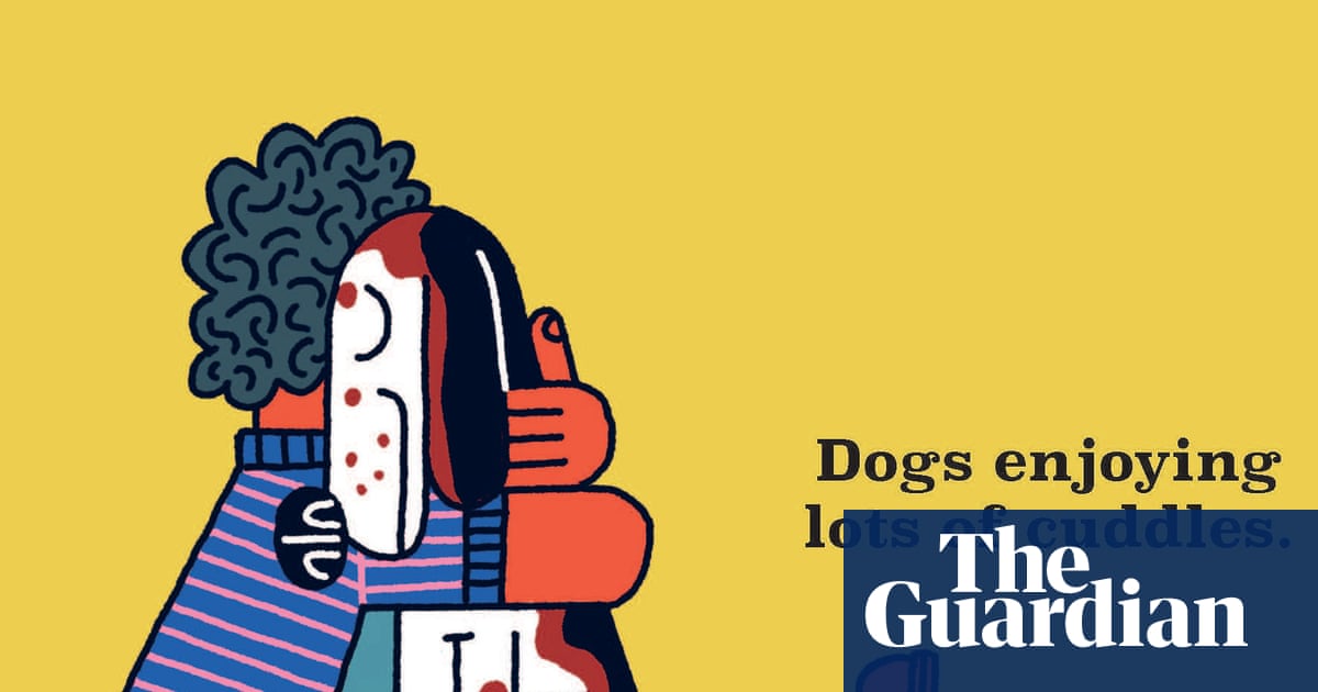 Children’s and teens roundup – the best new picture books and novels