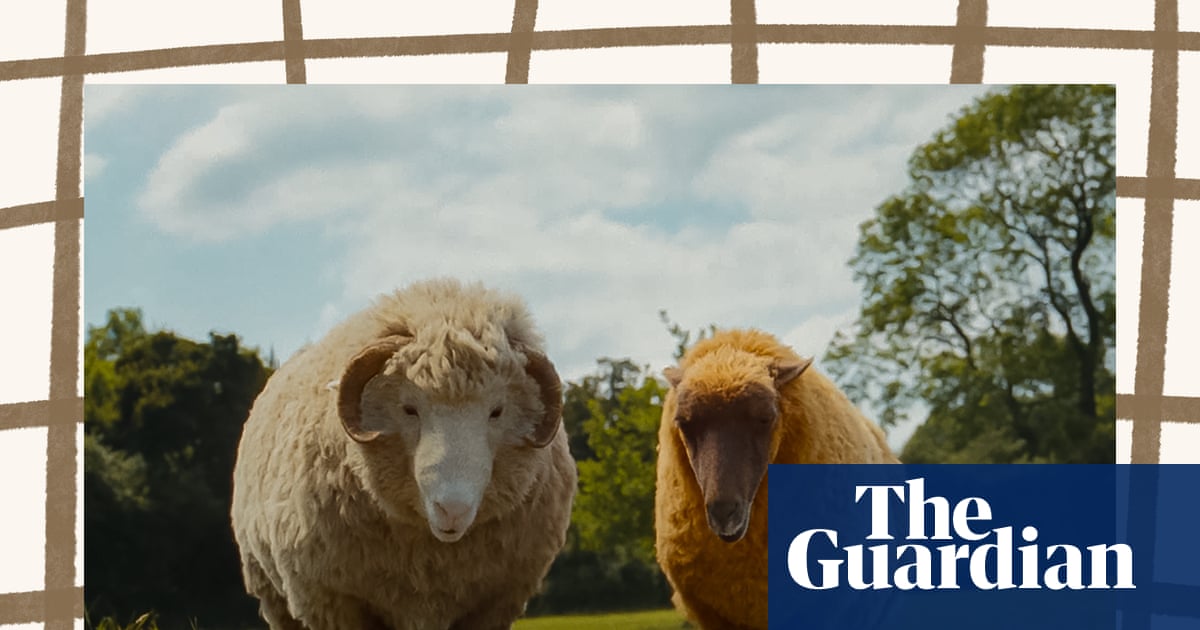 From The Sheep Detectives to Rivals: your complete entertainment guide to the week ahead