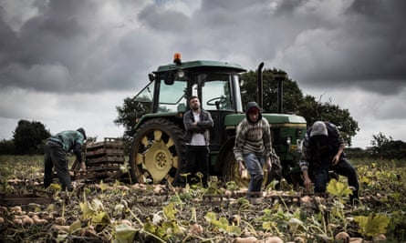 Three people working in a field while a supervisor watches them sternly while leaning on a tractor in a picture posed by models