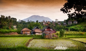 Sunrise on Bali Rice Fields