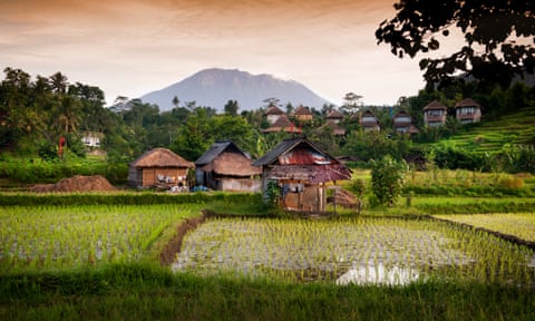 Sunrise on rice fields in Bali.