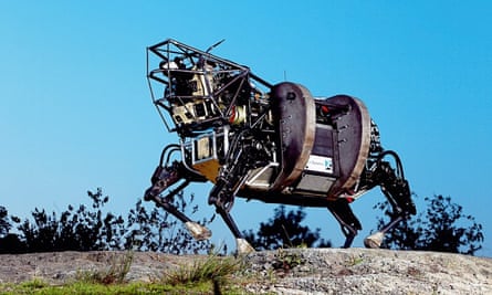 Dog robot Boston Dynamics