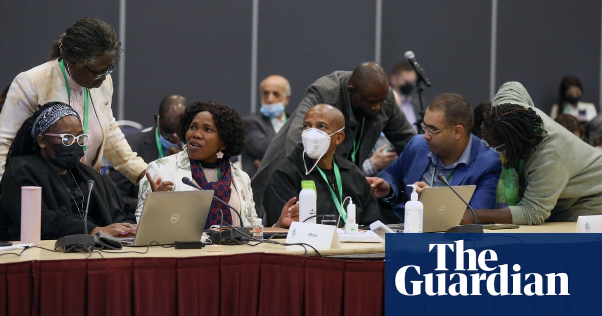 ‘We are at war with nature’: UN environment chief warns of biodiversity apocalypse