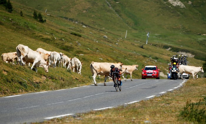 Warren Barguil.