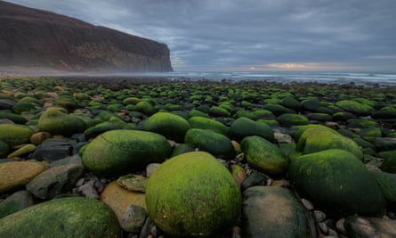 Moss covered boulders at Rackwick Bay, Hoy, Orkney, Scotland