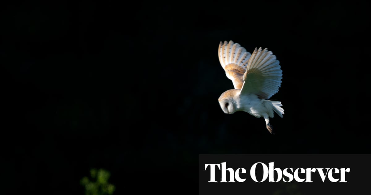 过夜:天黑后的旅行、对话和故事,丹·理查兹评论 – 各种夜猫子 过夜:天黑后的旅行、对话和故事,丹·理查兹评论 – 各种夜猫子