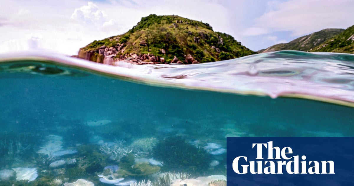 Coral reefs, ice sheets and Amazon rainforest approaching a tipping point due to global heating, report says