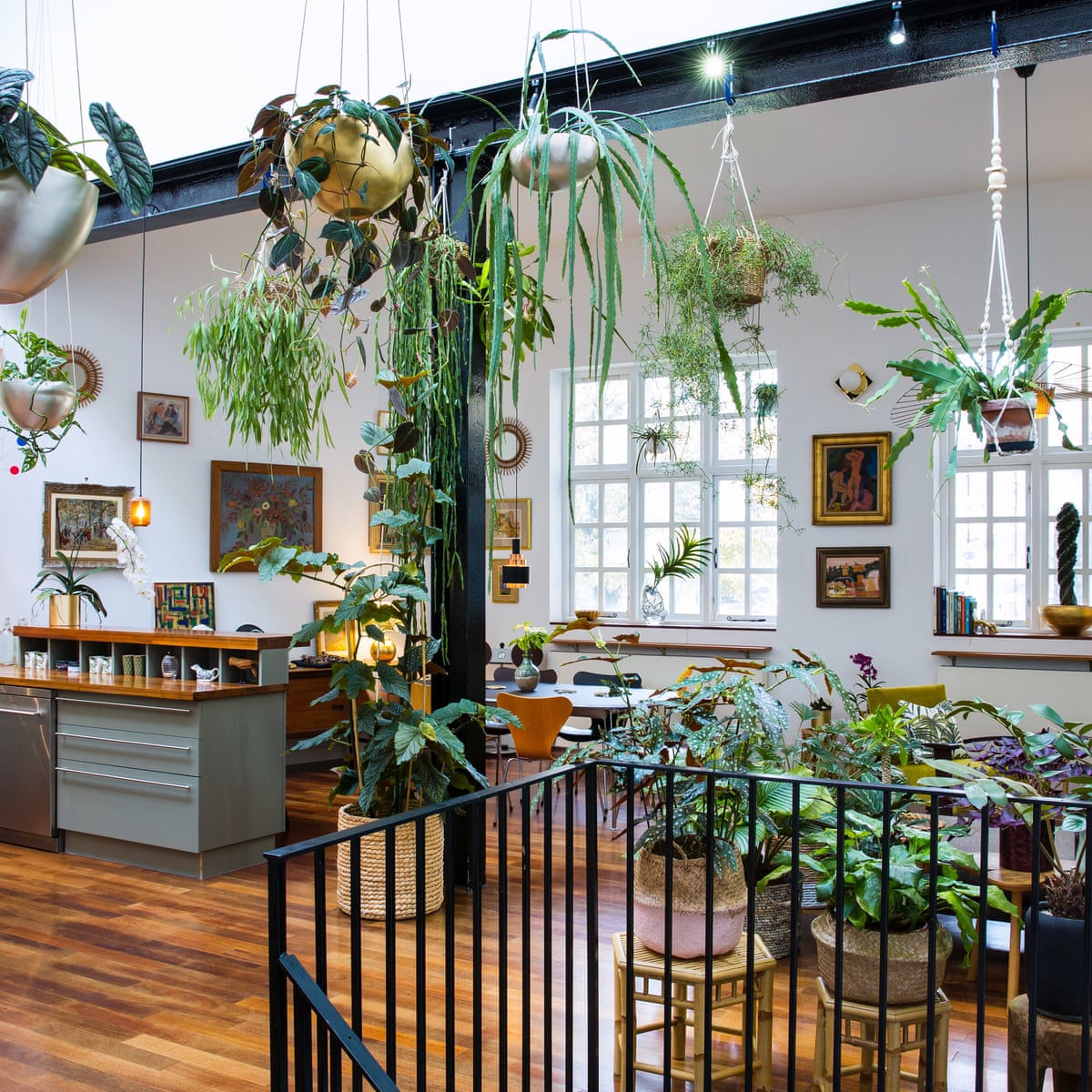 Houseplants Make Me Happy Jamie Song S Urban Jungle Life And Style The Guardian