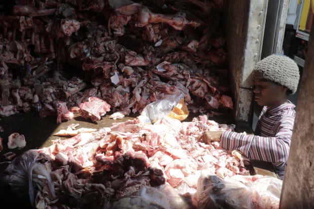 A woman scavenges through animal carcasses.