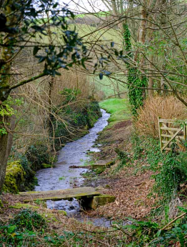 Turning inland, the ‘soft greens’ of the Devon countryside are apparent.