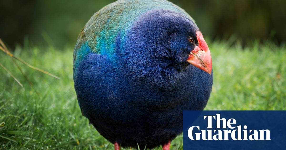 Photo of New Zealand